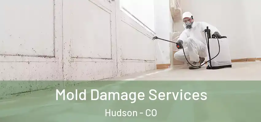 Mold Damage Services Hudson - CO