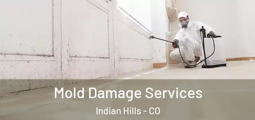  Mold Damage Services Indian Hills - CO