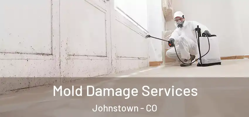  Mold Damage Services Johnstown - CO