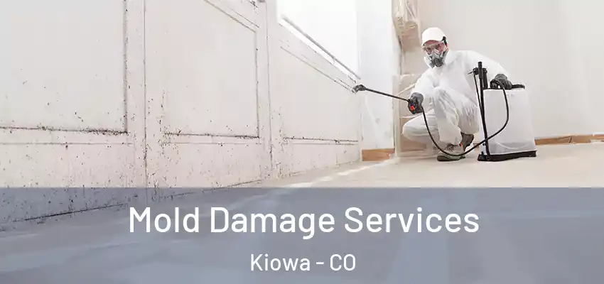  Mold Damage Services Kiowa - CO
