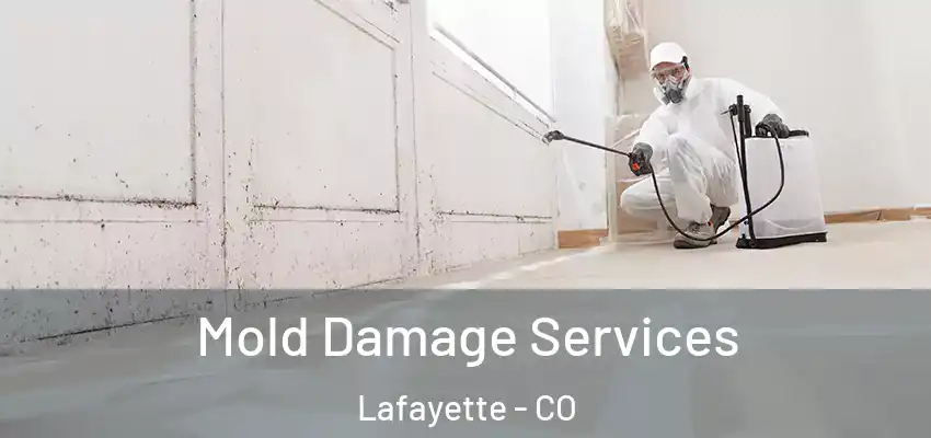 Mold Damage Services Lafayette - CO