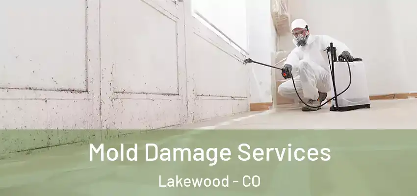 Mold Damage Services Lakewood - CO