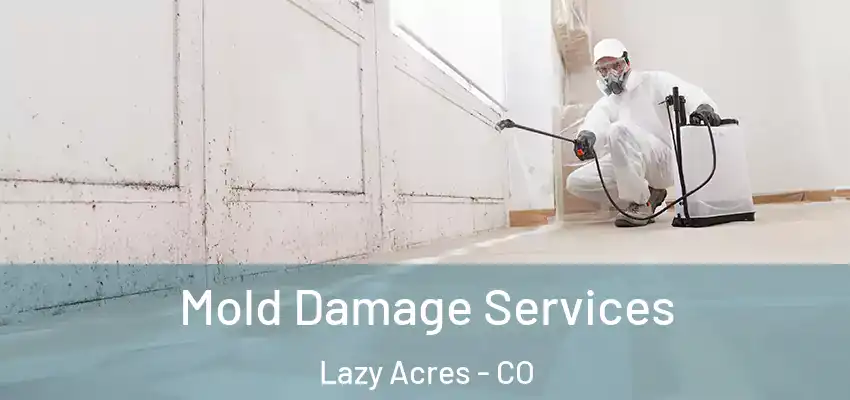  Mold Damage Services Lazy Acres - CO