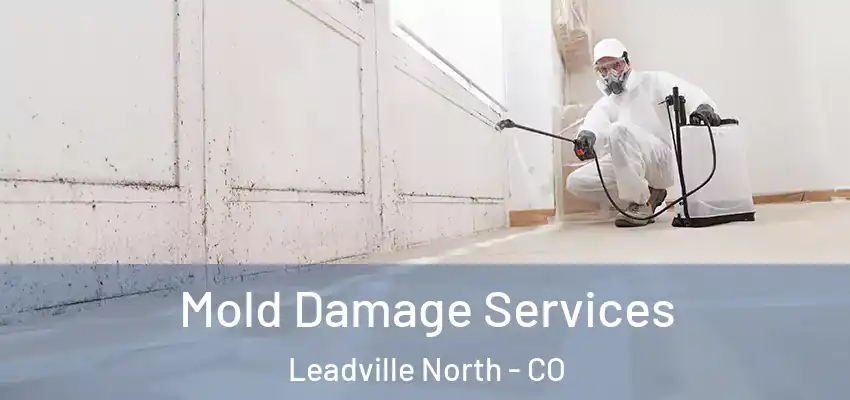  Mold Damage Services Leadville North - CO