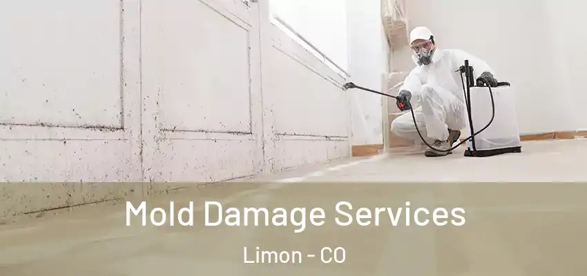  Mold Damage Services Limon - CO