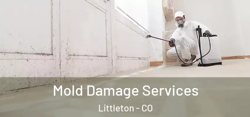  Mold Damage Services Littleton - CO