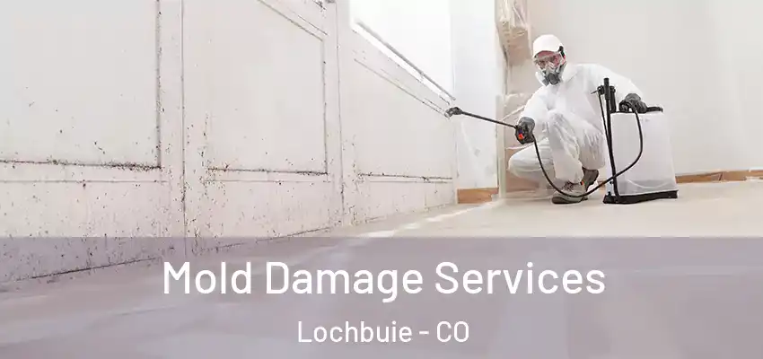  Mold Damage Services Lochbuie - CO