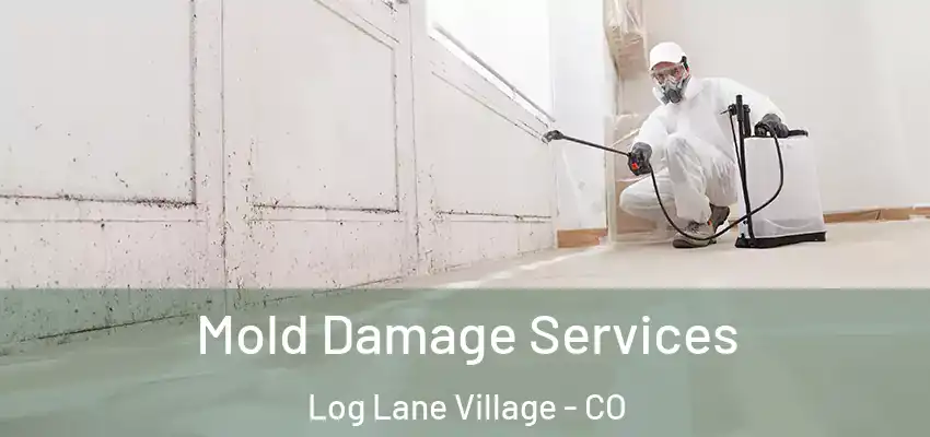  Mold Damage Services Log Lane Village - CO