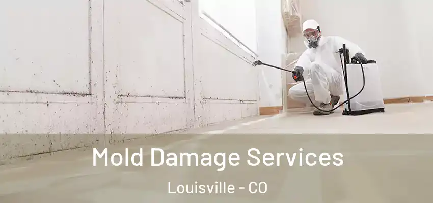  Mold Damage Services Louisville - CO