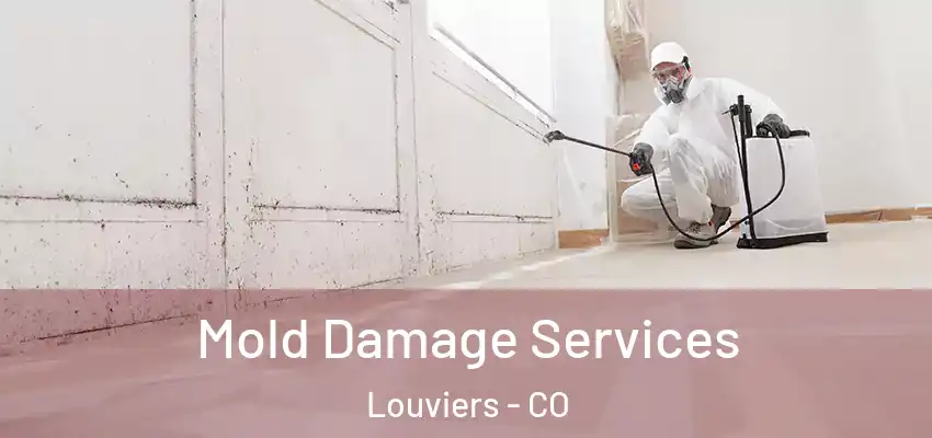  Mold Damage Services Louviers - CO