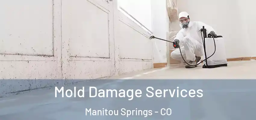 Mold Damage Services Manitou Springs - CO