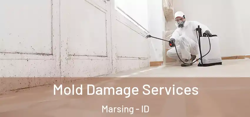 Mold Damage Services Marsing - ID