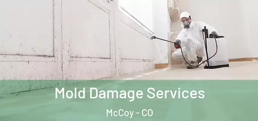  Mold Damage Services McCoy - CO
