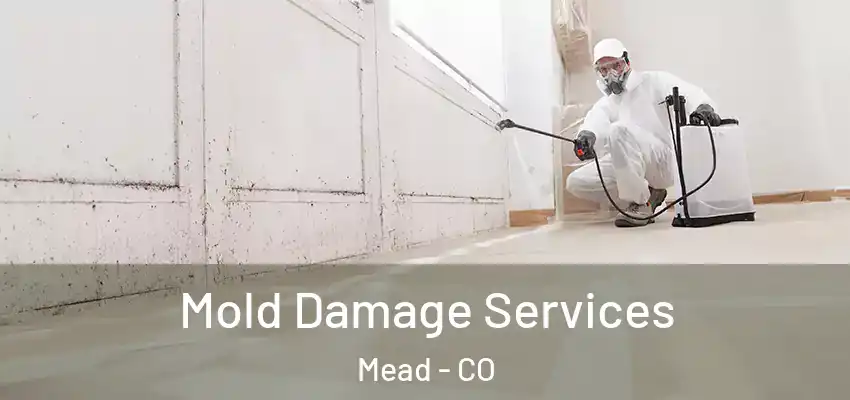 Mold Damage Services Mead - CO