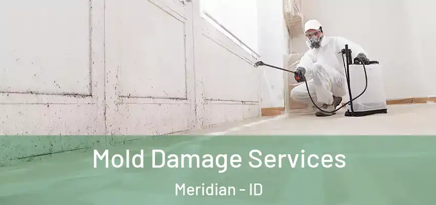  Mold Damage Services Meridian - ID