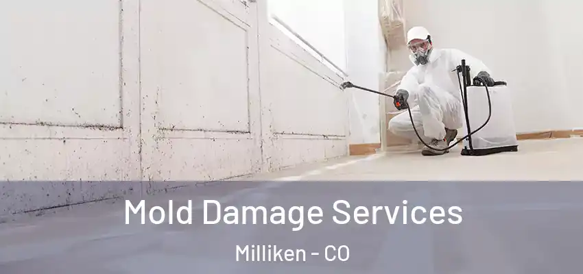 Mold Damage Services Milliken - CO