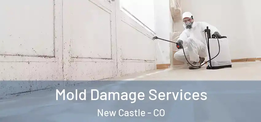 Mold Damage Services New Castle - CO
