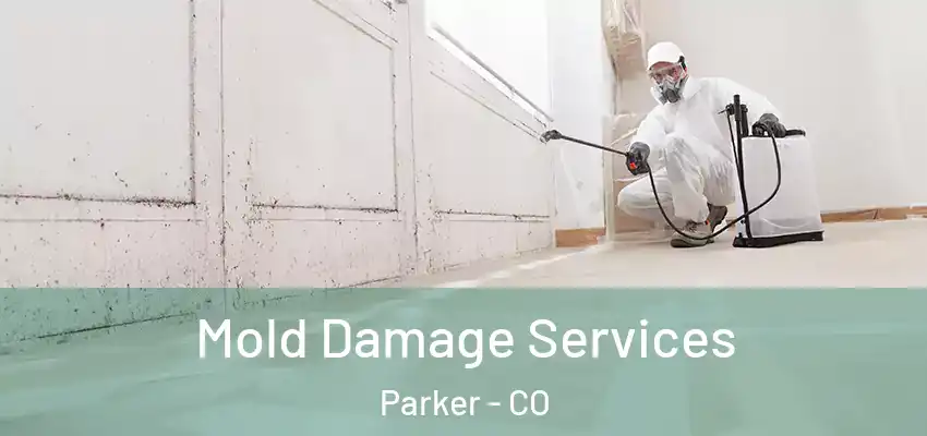  Mold Damage Services Parker - CO