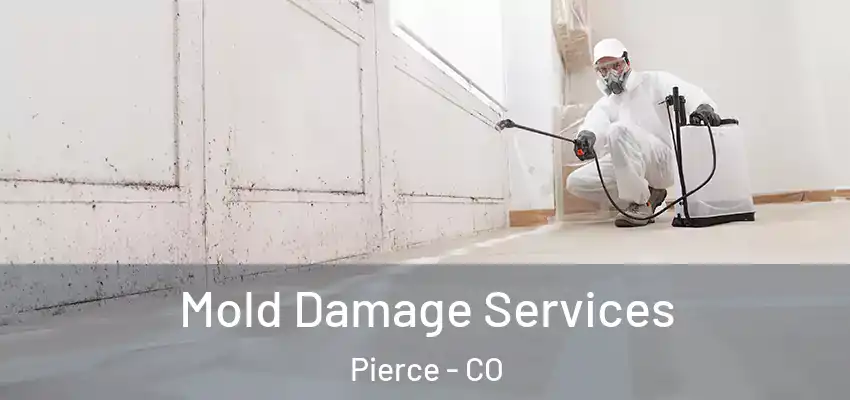  Mold Damage Services Pierce - CO