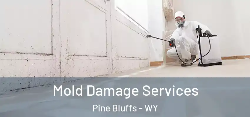  Mold Damage Services Pine Bluffs - WY