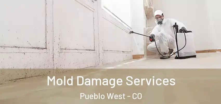  Mold Damage Services Pueblo West - CO