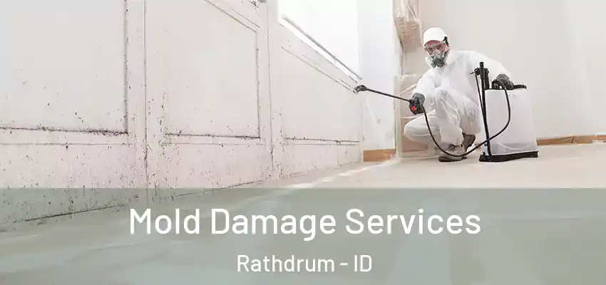 Mold Damage Services Rathdrum - ID