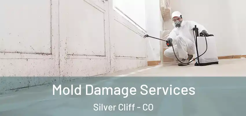  Mold Damage Services Silver Cliff - CO