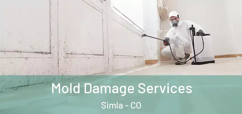  Mold Damage Services Simla - CO
