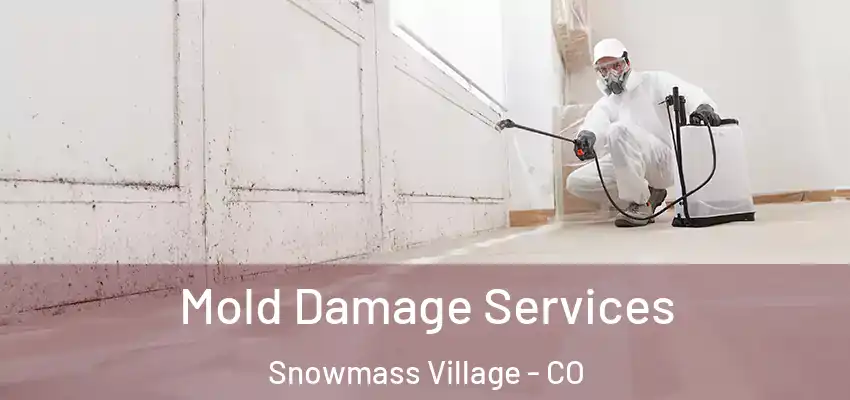  Mold Damage Services Snowmass Village - CO