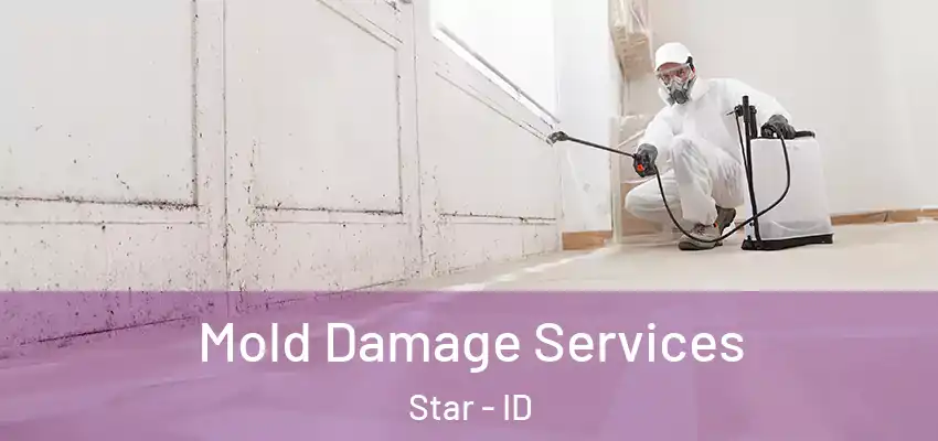  Mold Damage Services Star - ID