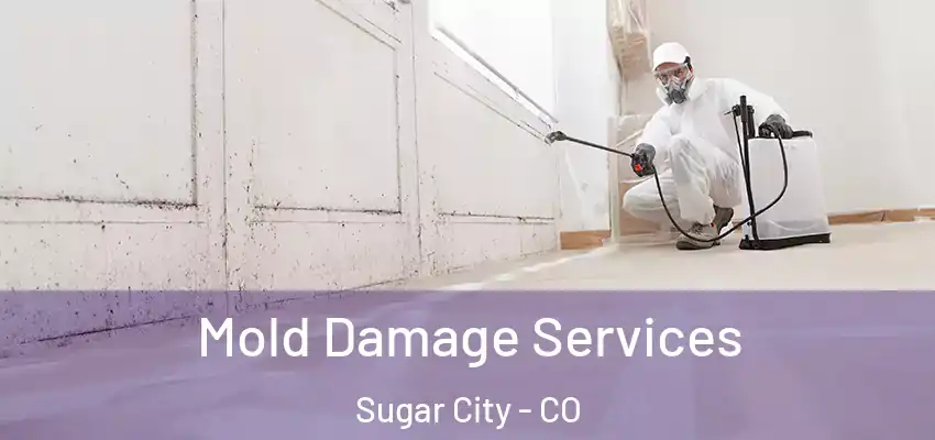  Mold Damage Services Sugar City - CO