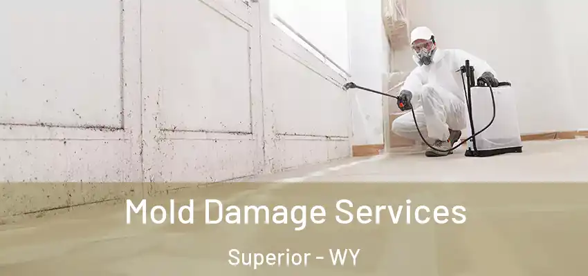  Mold Damage Services Superior - WY