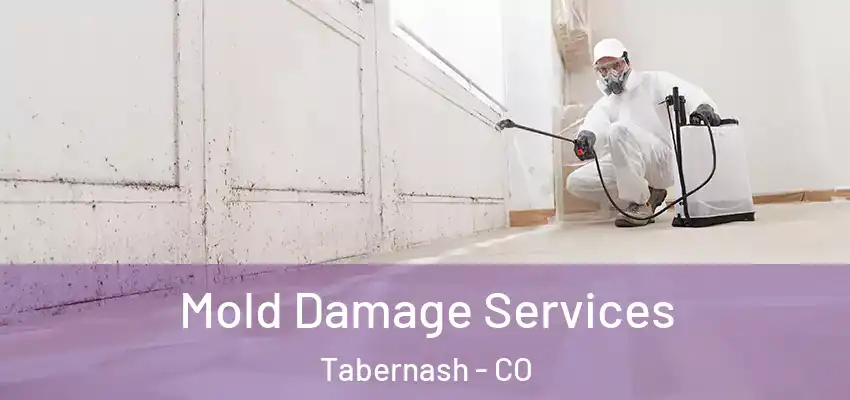  Mold Damage Services Tabernash - CO
