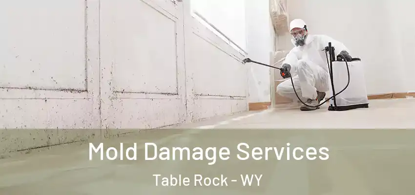  Mold Damage Services Table Rock - WY