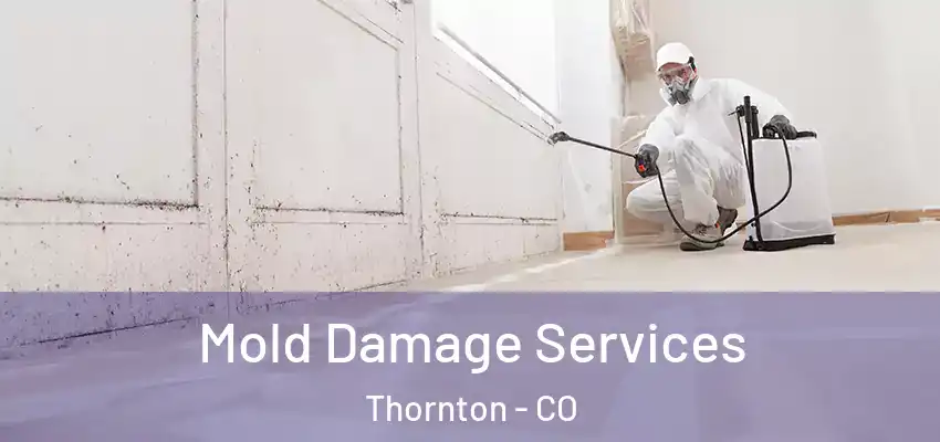  Mold Damage Services Thornton - CO