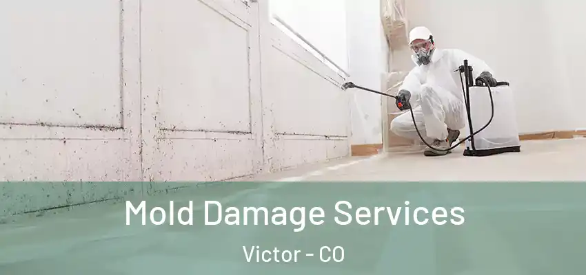  Mold Damage Services Victor - CO