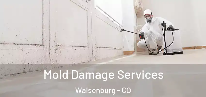  Mold Damage Services Walsenburg - CO