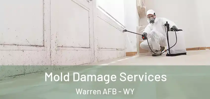 Mold Damage Services Warren AFB - WY