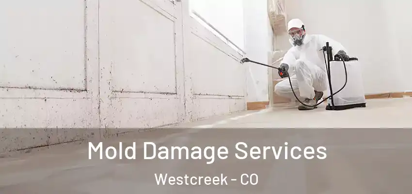 Mold Damage Services Westcreek - CO