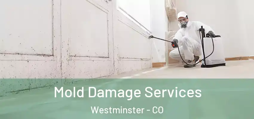 Mold Damage Services Westminster - CO
