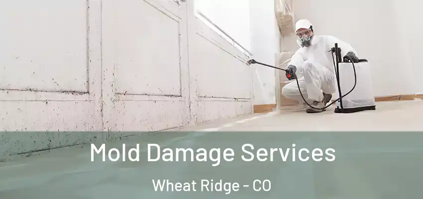  Mold Damage Services Wheat Ridge - CO