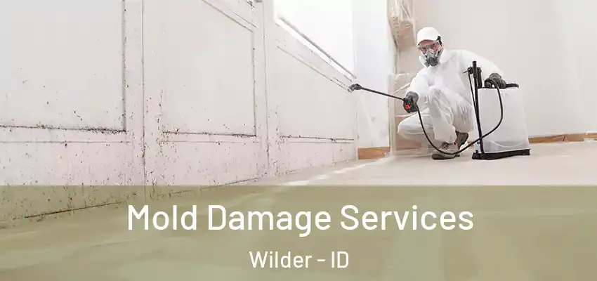 Mold Damage Services Wilder - ID