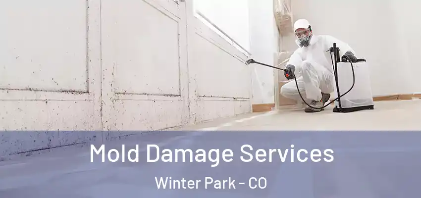  Mold Damage Services Winter Park - CO
