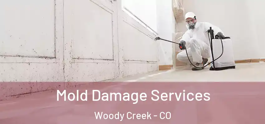 Mold Damage Services Woody Creek - CO