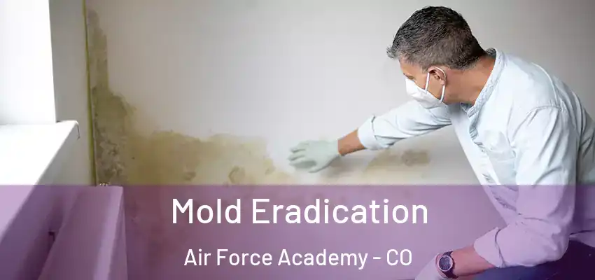  Mold Eradication Air Force Academy - CO