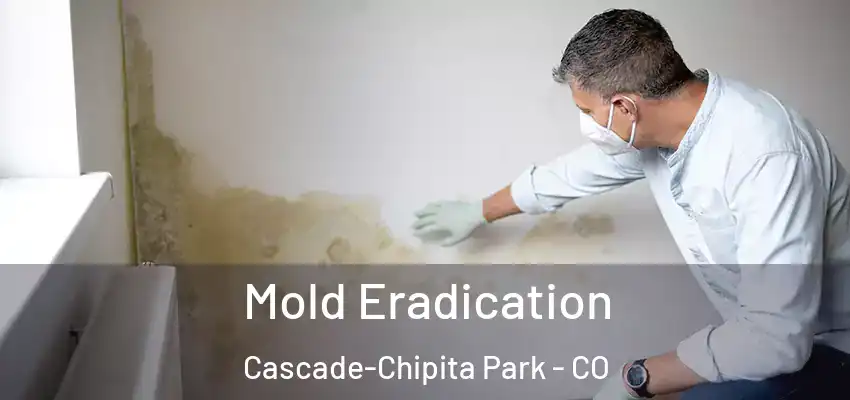  Mold Eradication Cascade-Chipita Park - CO