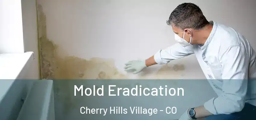  Mold Eradication Cherry Hills Village - CO