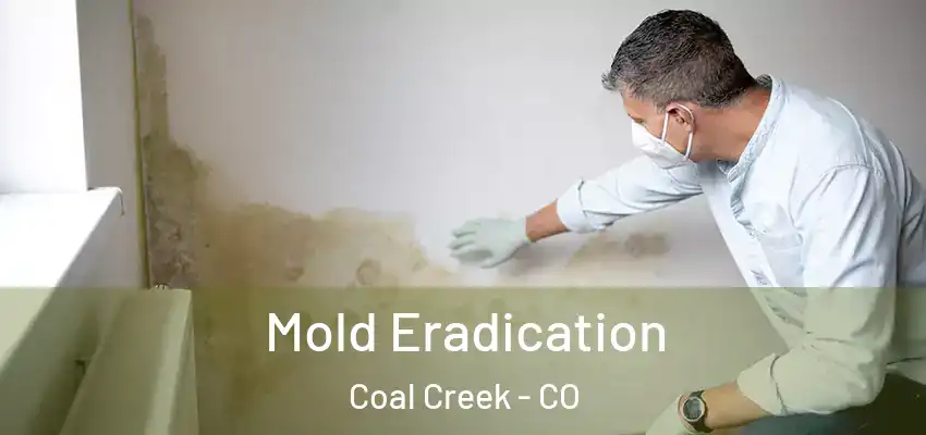  Mold Eradication Coal Creek - CO