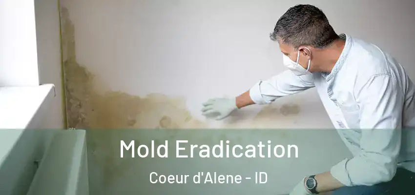  Mold Eradication Coeur d'Alene - ID