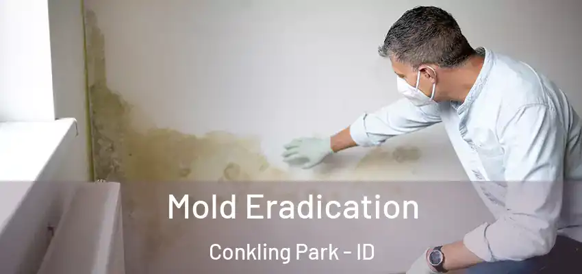 Mold Eradication Conkling Park - ID